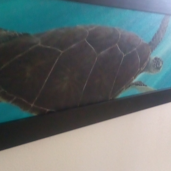 Honu Sea Turtle Original oil Painting by Hawaiian artist - Picture 4 of 5